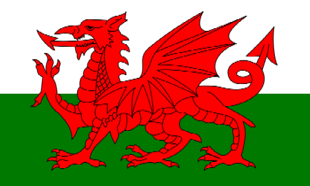 Drapeau du Pays de Galles : divisé en deux bandes, blanche en haut et verte en bas, et frappé d'un dragon rouge vu de profil, tête vers la gauche